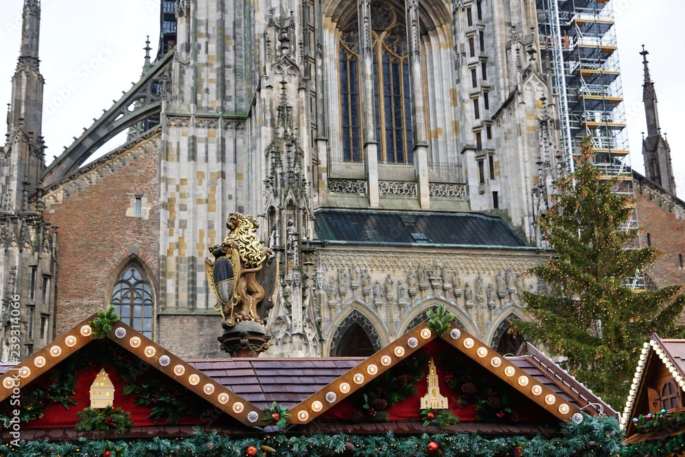 ulmer dom während der Weihnachtszeit in deutschland im winter