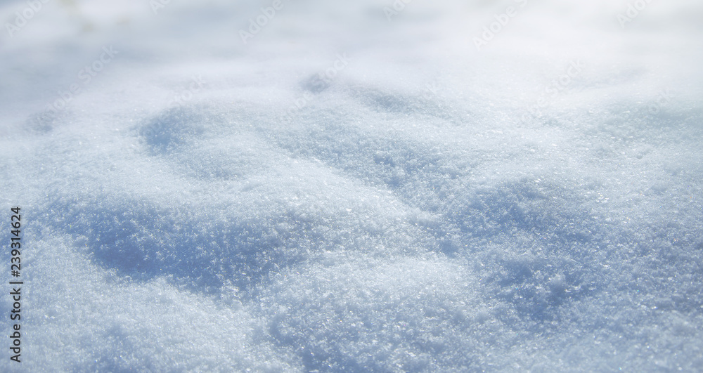background of fresh snow texture