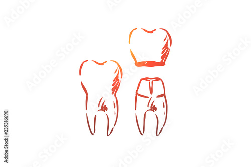 Crown, dental, root, tooth, health concept. Hand drawn isolated vector.
