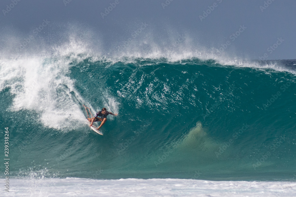 Obraz premium Hawaii
