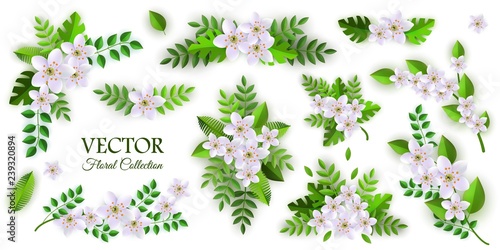 Floral compositions vector illustration set with various branches and bouquets of white apple or cherry flowers and green leaves in flat style isolated on white background for romantic natural design.
