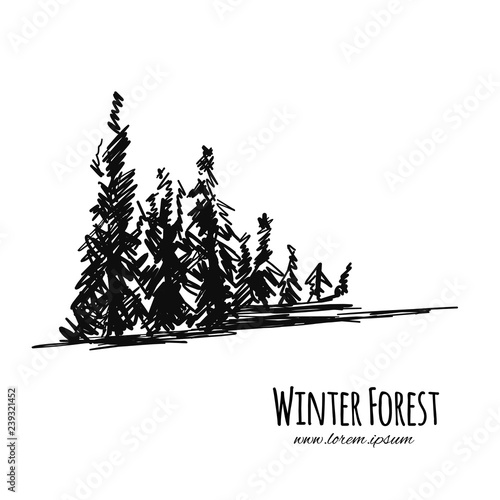 Winter forest, sketch for your design