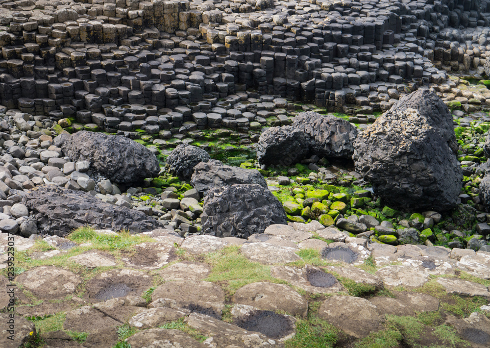 detail of giant's causeway in northern ireland