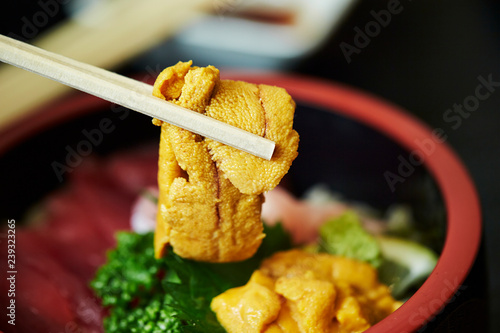 Kaisendon, Japanese mixed seafood rice bowl  photo