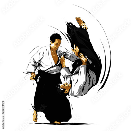 aikido action 3 photo