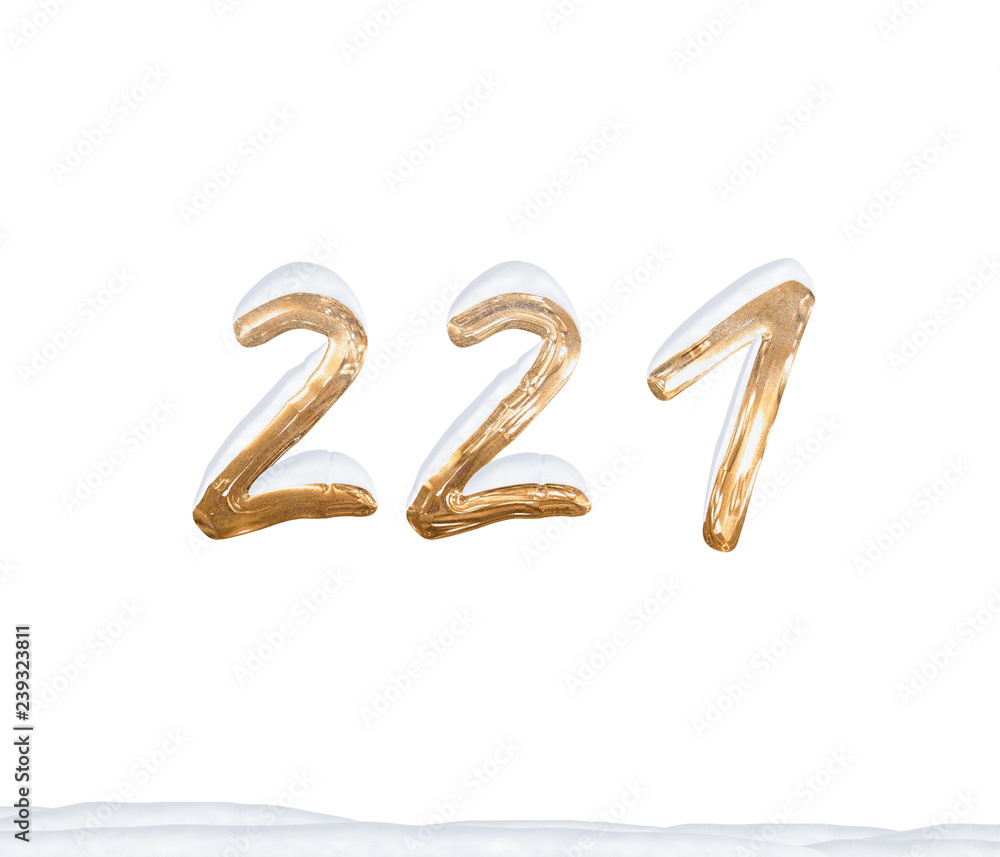 Gold Number 221 with Snow on white background Gold Number 221 with Snow on white background