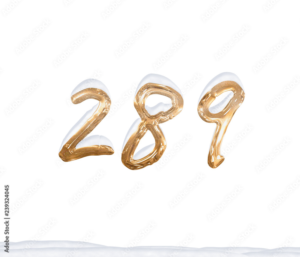 Gold Number 289 with Snow on white background Gold Number 289 with Snow on white background
