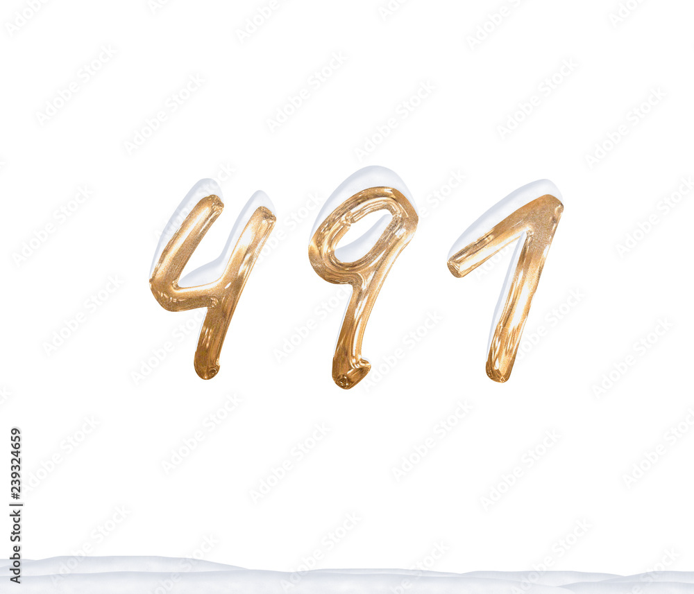 Gold Number 491 with Snow on white background Gold Number 491 with Snow on white background