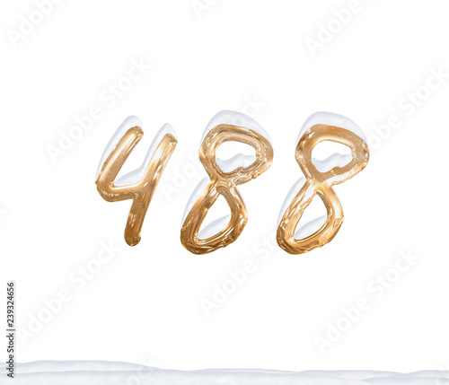 Gold Number 488 with Snow on white background