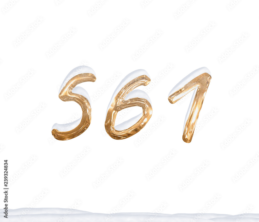 Gold Number 561 with Snow on white background Gold Number 561 with Snow on white background