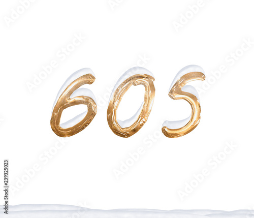 Gold Number 605 with Snow on white background
