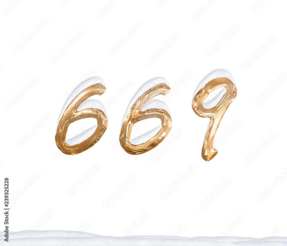 Gold Number 669 with Snow on white background Gold Number 669 with Snow on white background