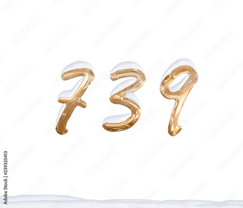 Gold Number 739 with Snow on white background Gold Number 739 with Snow on white background