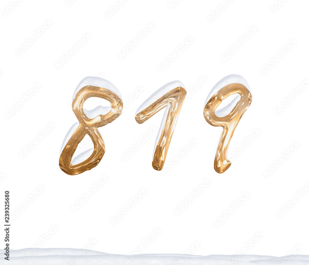 Gold Number 819 with Snow on white background Gold Number 819 with Snow on white background