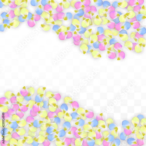 Vector Realistic Colorful Petals Falling on Transparent Background.  Spring Romantic Flowers Illustration. Flying Petals. Sakura Spa Design. Blossom Confetti. Design Elements for Wedding Decoration. © Feliche _Vero