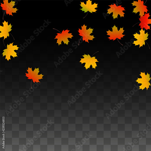 September Vector Background with Golden Falling Leaves. Autumn Illustration with Maple Red, Orange, Yellow Foliage. Isolated Leaf on Transparent Background. Bright Swirl. Suitable for Posters.