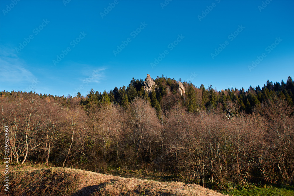 Fototapeta premium sunrise in national park over forest and rocks. the rising sun beautifully illuminates the tops of the pines and the rock ridge