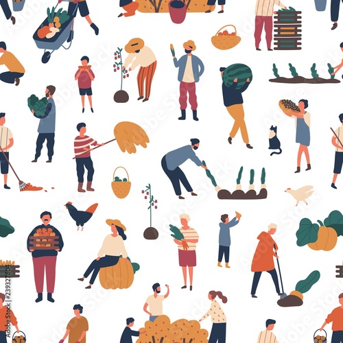 Seamless pattern with people gathering crops in autumn. Backdrop with farmers harvesting or collecting seasonal ripe fruits and vegetables on white background. Flat cartoon vector illustration.
