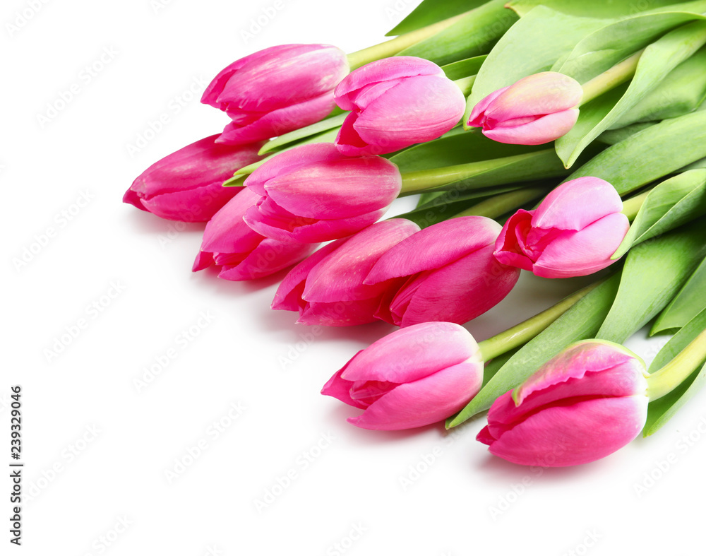 Beautiful tulips for Mother's Day on white background Beautiful tulips for Mother's Day on white background