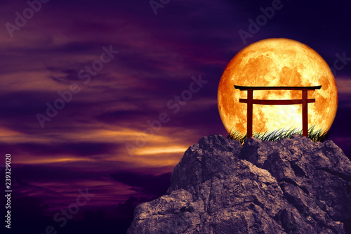 blood moon back torii over grass stone and rock of cliff