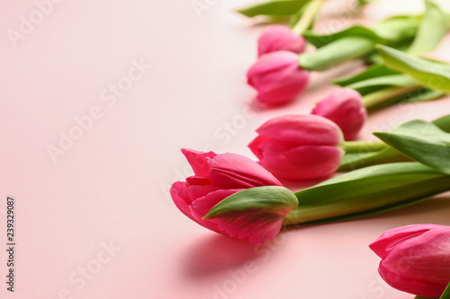 Beautiful tulips for Mother's Day on color background
