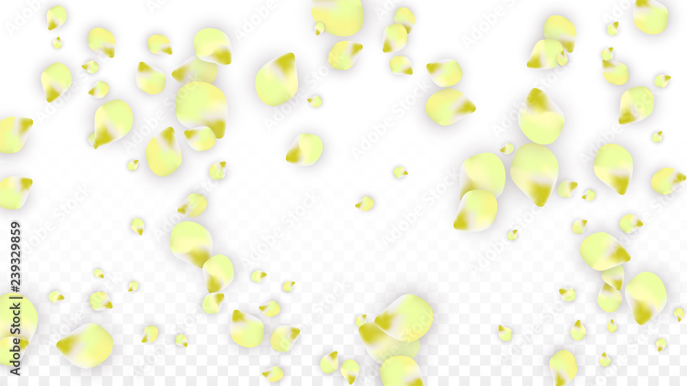 Vector Realistic Pink Petals Falling on Transparent Background. Spring Romantic Flowers Illustration. Flying Petals. Sakura Spa Design. Blossom Confetti. Vector Realistic Pink Petals Falling on Transparent Background. Spring Romantic Flowers Illustration. Flying Petals. Sakura Spa Design. Blossom Confetti.