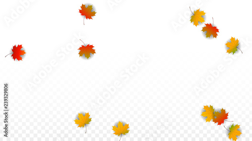 September Vector Background with Golden Falling Leaves. Autumn Illustration with Maple Red, Orange, Yellow Foliage. Isolated Leaf on Transparent Background. Bright Swirl. Suitable for Posters.
