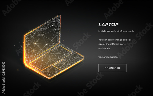 Laptop low poly wireframe on dark background.Laptop hi-tech illustration.Concept network tehnology.Symbol future or innovation.Plexus lines and points in the constellation.Vector particles 