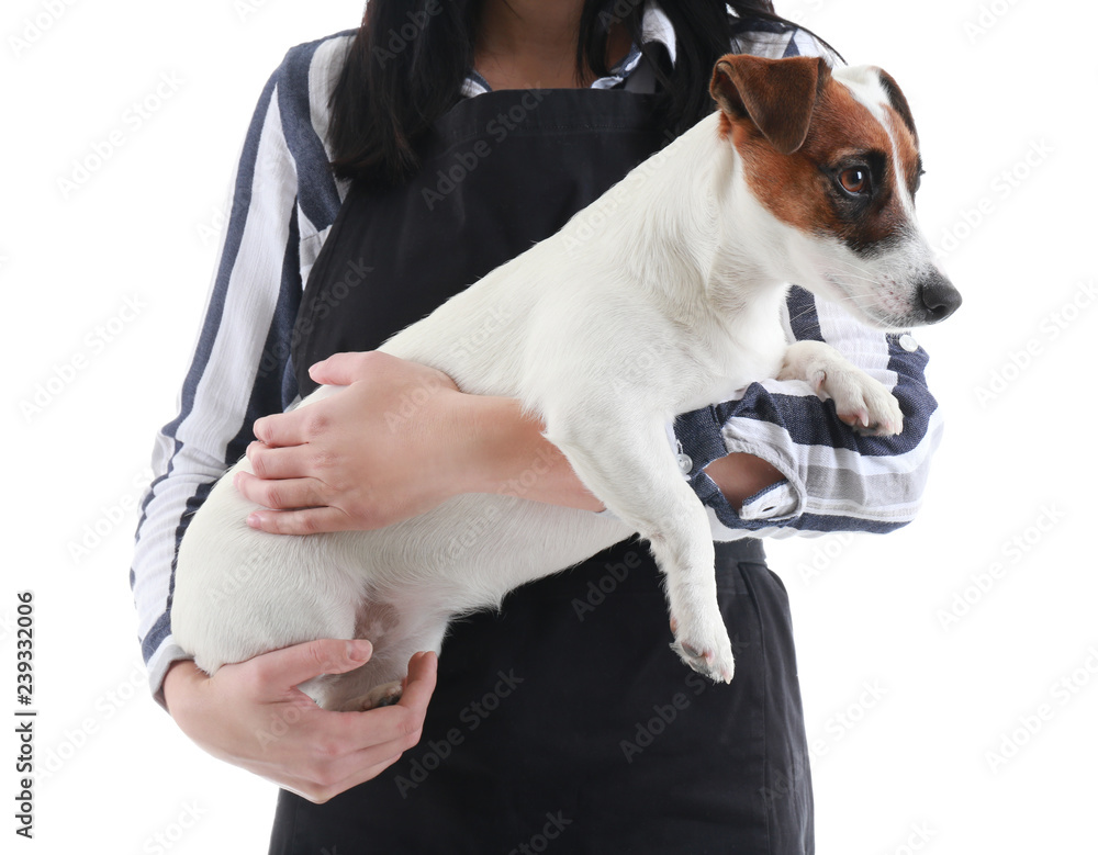Female groomer with dog on white background Female groomer with dog on white background