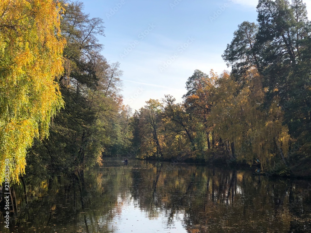 Пуща Водица 😻