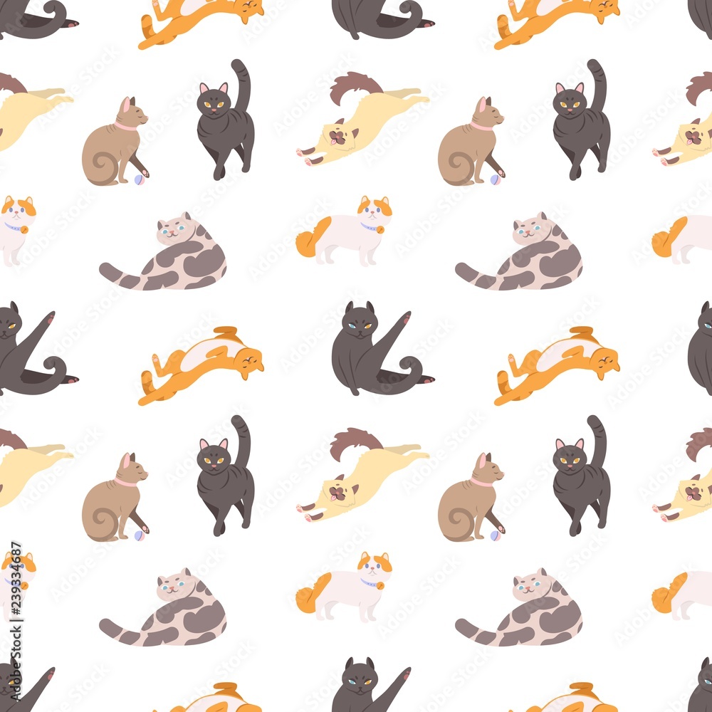 Obraz premium Seamless pattern with purebred cats sleeping, walking, washing, stretching itself on white background. Backdrop with adorable pets. Flat cartoon vector illustration for wallpaper, textile print.