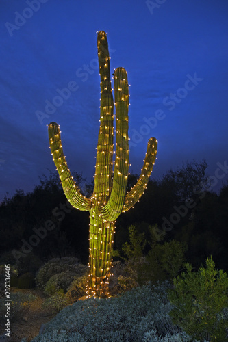 Saguaro cactus with christmas lights in Arizona
