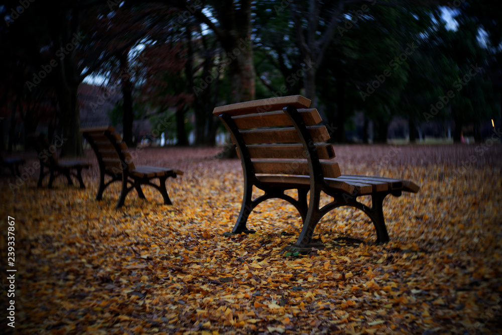 秋と冬の間に座って