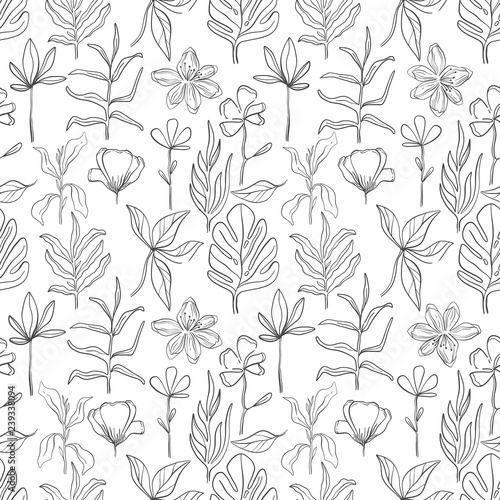Hand drawn pattern sketch style Wild flowers . Line nature style,Drawing flora,hand drawn botany.