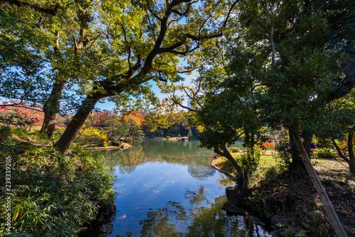 秋の六義園 大名庭園の風景