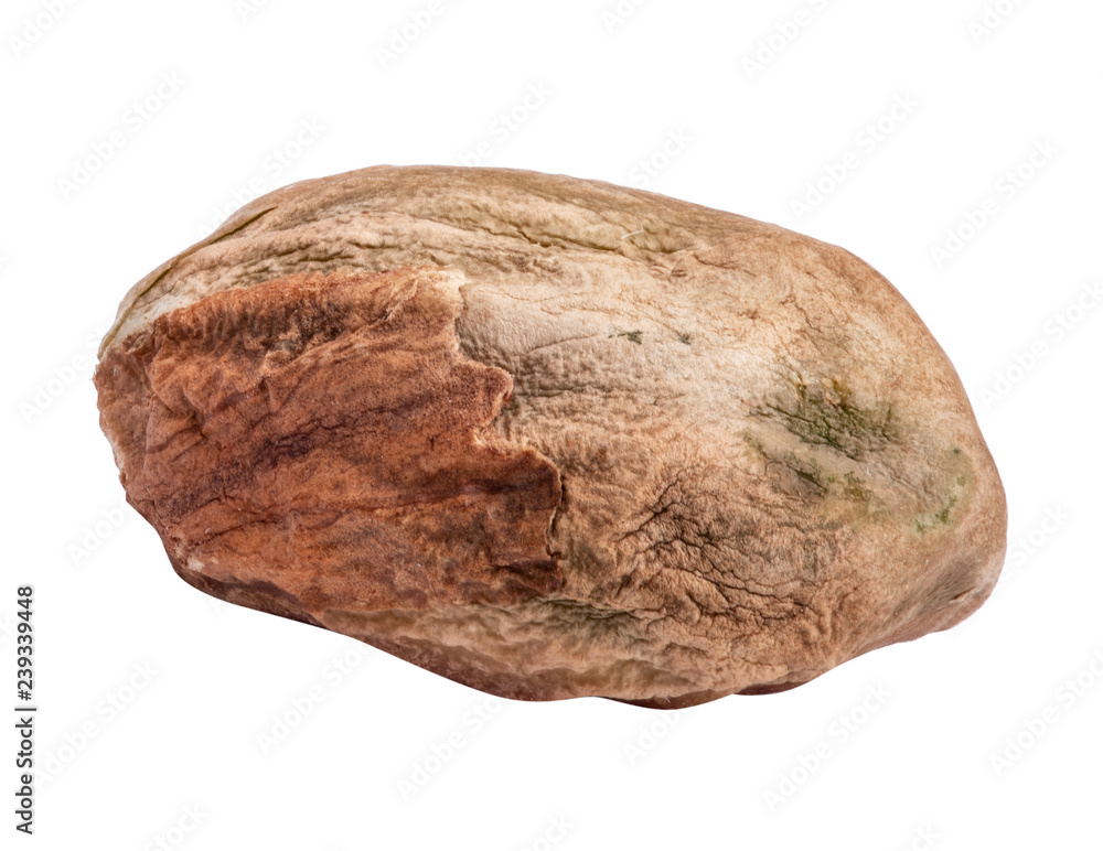 Fototapeta premium Pistachio kernel isolated on white background