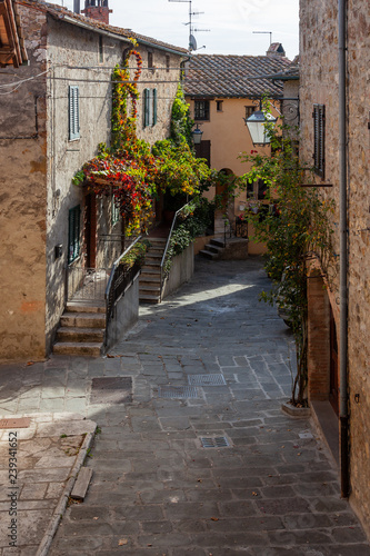 Old street of medieval town Castiglione d'Orcia where walls of houses are twined an ivy, Italy
