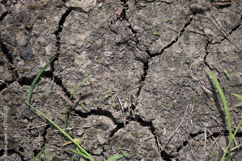 dry barren soil grow agriculture