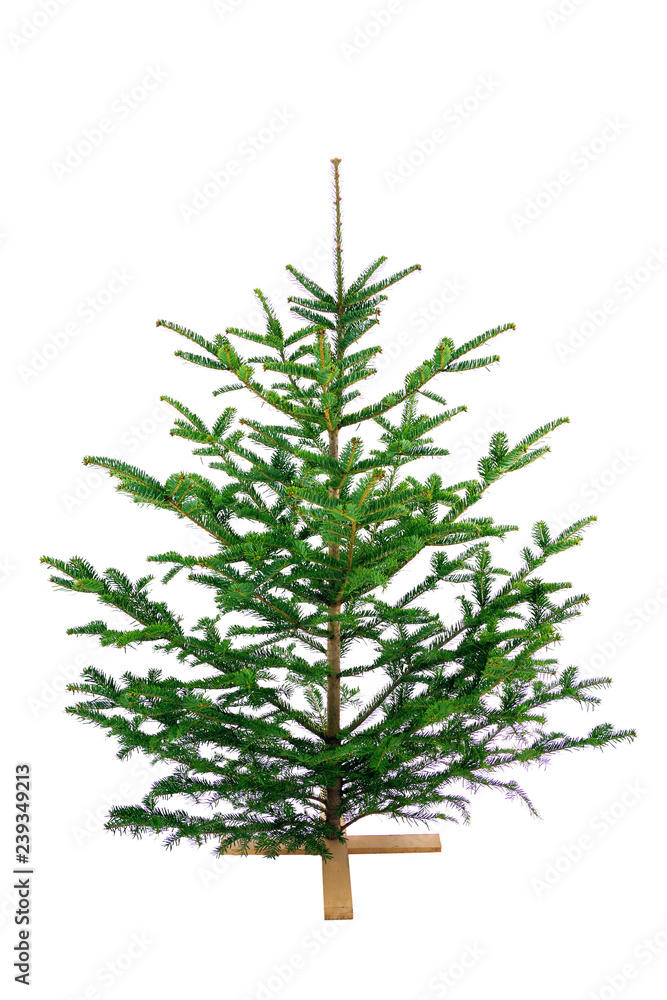Christmas tree isolated on white, happy new year