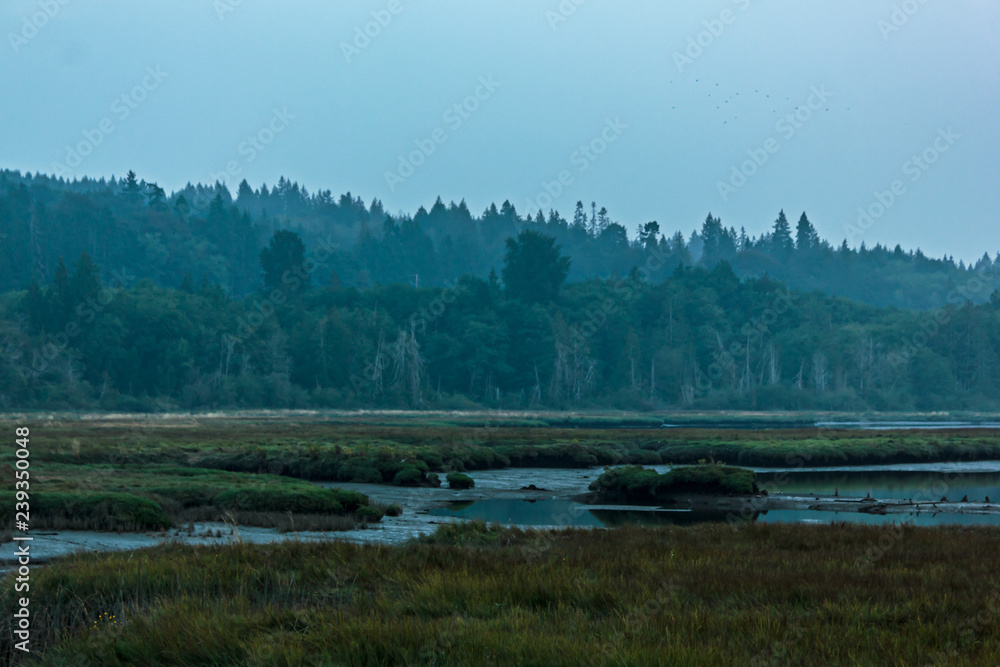 Fototapeta premium deep evening over wetlands with hazy foggy skys