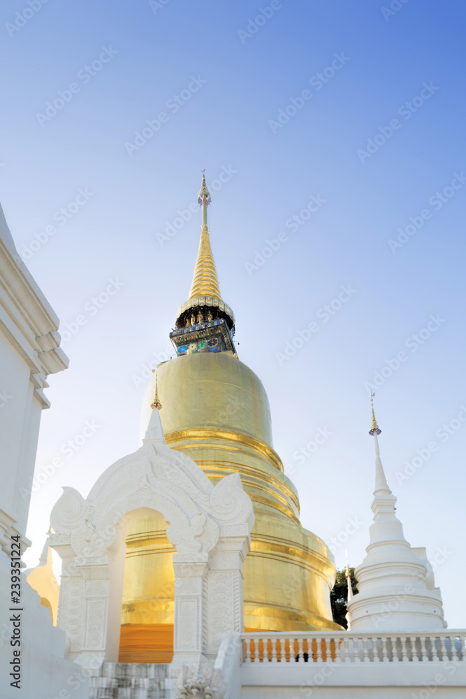 Chedis (stupas) a the temple of Wat Suan Dok, Chiang Mai, Thailand, Southeast Asia, Asia Chedis (stupas) a the temple of Wat Suan Dok, Chiang Mai, Thailand, Southeast Asia, Asia