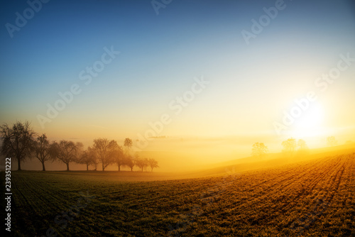 Warm morning sun illuminating dense fog in a colorful rural landscape scene. photo
