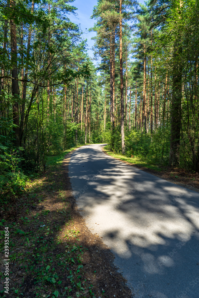 Obraz premium summer asphalt road in perspective