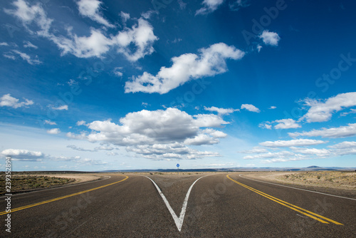 A split in the road along Route 40 in Patagonia in Argentina photo