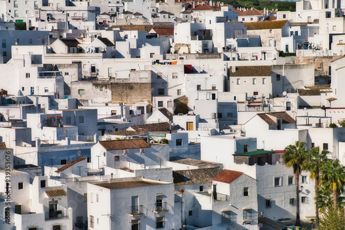Panoramic view with houses of Vejer de la Frontera, a beautiful and touristic Andalusian village in the province of Cadiz, southern Spain © juanorihuela