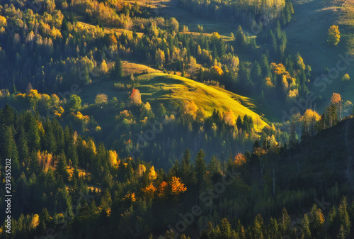 autumn sunset in the Carpathian mountains. picturesque evening in the mountains