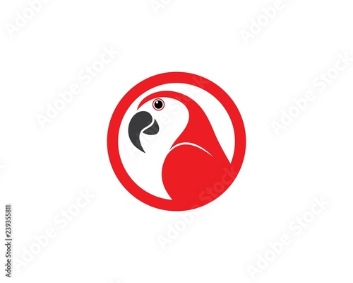 parrot illustration template design