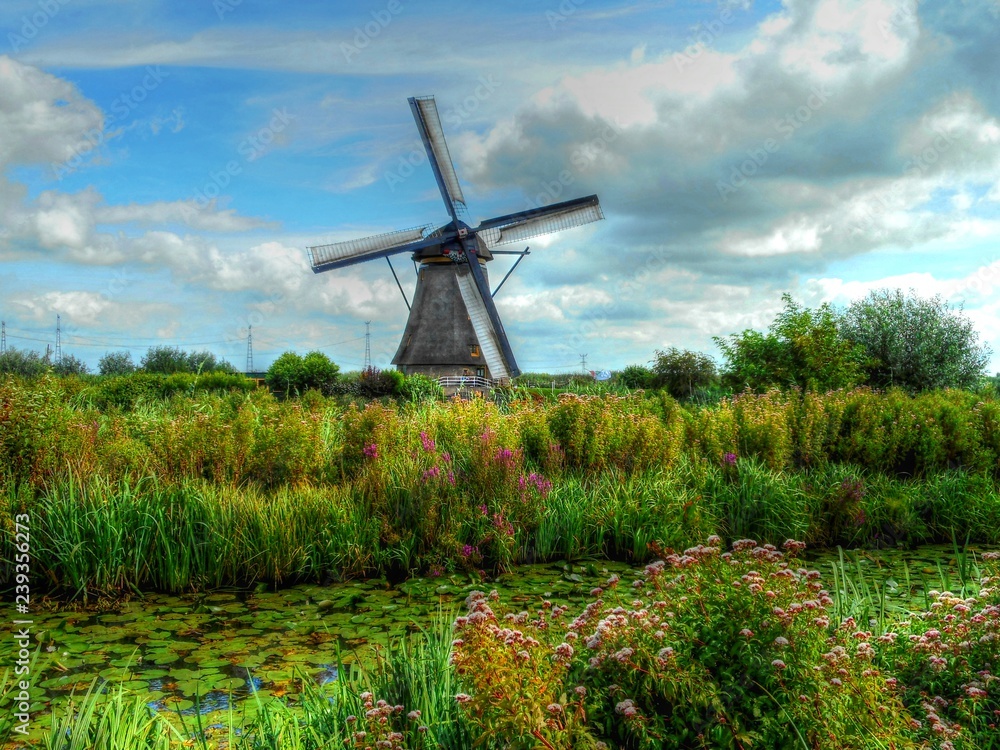 Olanda- Paesi Bassi mulini 