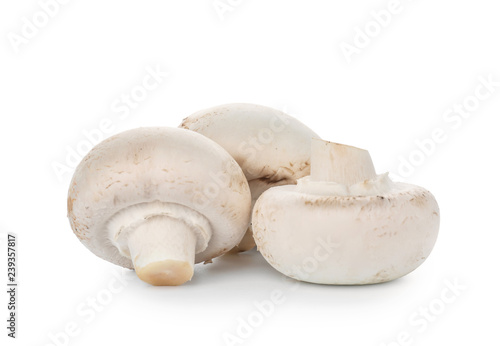 Raw mushrooms on white background