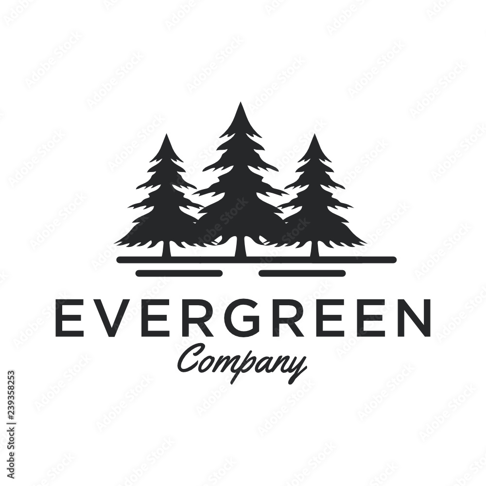 Evergreen / Pine tree Logo design inspiration - Vector